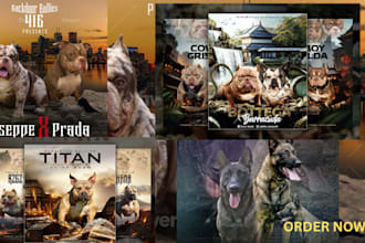design eye catching stud dog advert, litter announcement, pet breeding flyers