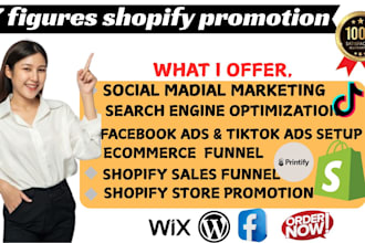 build a shopify dropshipping store SEO ecommerce website wed2c sale promotion