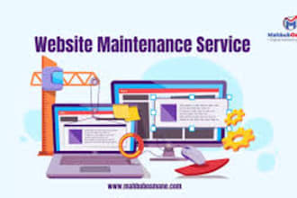 fix bugs and do website maintenance professionally