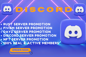 promote your fivem, rust, dayz, roblox server with organic discord growth