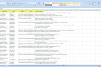 do excel data entry worker