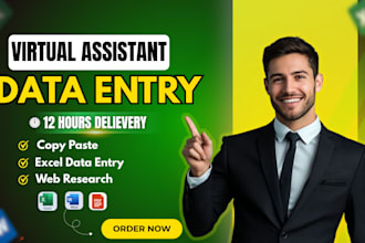 do excel data entry worker