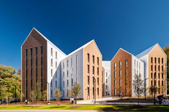 do structure engineer wood structure steel structure timber structure