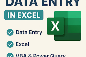 do data entry, cleaning, and automation in excel using vba or power query