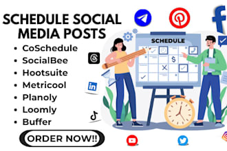 manage schedule post buffer loomly metricool hotsuite for social
