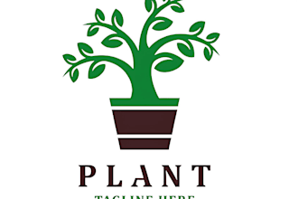 design modern beautiful bamboo, natural, plant logo