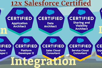 do salesforce customization, development and integrations