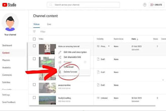 delete youtube channel, bad video that affect your reputation online and badlink