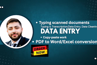 deliver reliable data entry work in just 24 hours