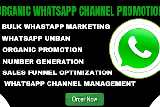 promote whatsapp channel promotion, bulk sms marketing lead generation mass dm