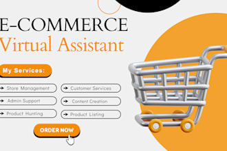 your expert virtual assistant for amazon, ebay and etsy