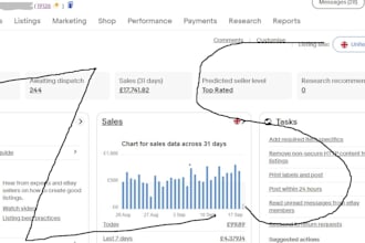 do expert amazon to ebay dropshipping service for profitable sales