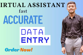 do fast data entry clean, format, merge, split excel data