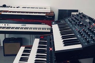 run your midi tracks through vintage or modern analog synths