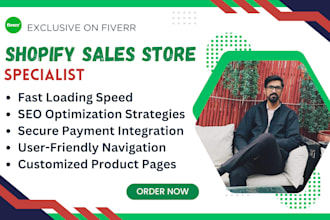 build revamp, shopify dropshipping and ecommerce product store specialist