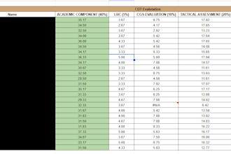 excel databases processing and automation