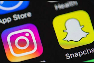 takedown and delete password facebook and instagram, profiles and pages