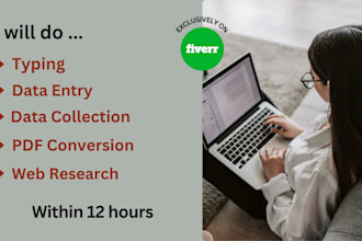 do manual data entry typing work, data collection, convert PDF to excel