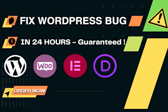 fix one wordpress error, bug, or issue within 24 hours