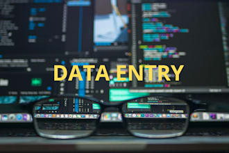 do accurate data entry, office support, and task automation