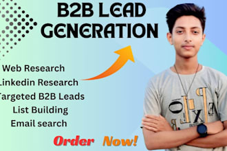 do professional b2b  lead generation any targeted