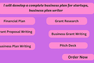 develop investor ready business plan, pitch deck, and financial plan