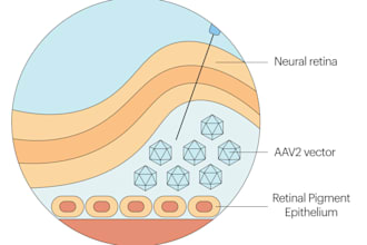 create science themed illustrations, diagrams and graphical abstracts