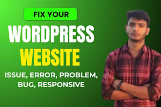 fix wordpress issue, wordpress error, responsive issue, wordpress help