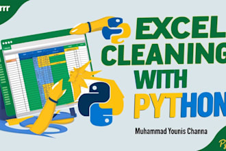 clean, format, and automate your excel data using python
