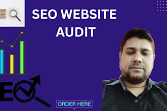 do website audit seo specialist service