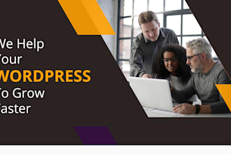 do live wordpress consulting
