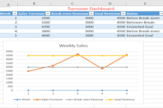 analyze your business data and deliver professional financial reports