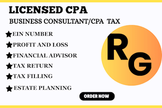 be business consultant, CPA financial tax advisor, CPA lawyer, accountant