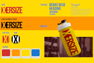 design logo and brand style guide or brand identity guidelines