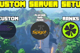 make you a professional minecraft server