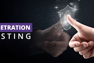 do security assessment, pro penetration testing to secure your digital asset