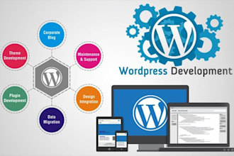 build and coach on wordpress business websites with SEO