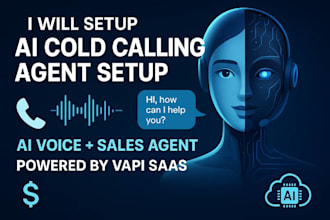 setup ai cold calling agent, ai voice agent, ai sales agent, ai saas using vapi