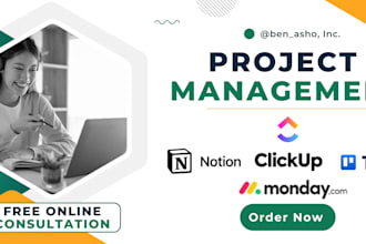 setup clickup, project management, asana, monday crm, trello, monday com, notion