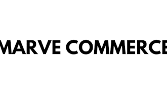 pitch decks business plan consulting