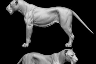 3d printing 3d animal model pet design wildlife 3d model 3d animal figurine