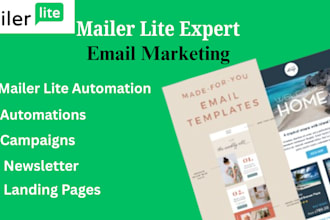 set up mailerlite email automation, landing page, newsletter and campaign
