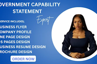 design an effective government capability statement within 6hours
