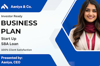 craft an investor and bank ready business plan