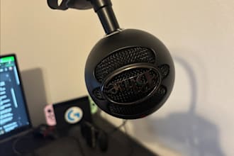 be a voice actor or extra in a youtube video