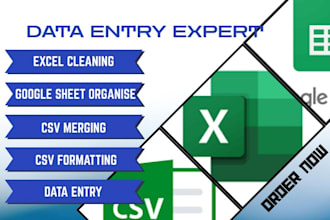 clean excel, organize and format google sheet, merge csv, data entry, excel data