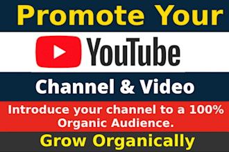 do real organic USA youtube promotion, video shoutout , channel promotion