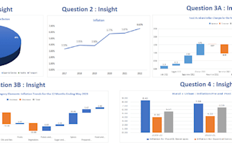 analyze, and create data visualizations in excel or CSV