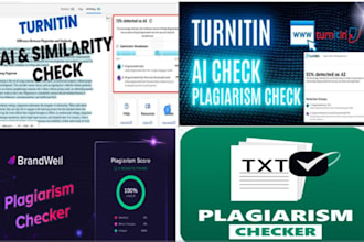 check plagiarism and remove ai content with expert editing