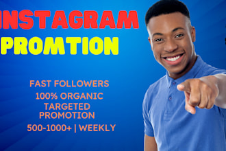 do organic instagram promotion